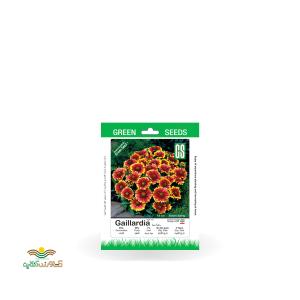 بذر خانگی گل رعنا زیبا سینا