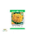 بذر خانگی گل اهارا زرد سینا 0