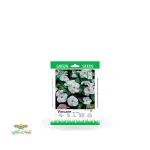 بذر خانگی گل پریوش سفید سینا 0