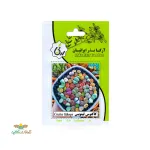 بذر خانگی کاکتوس لیتوپس آرکا بذر ایرانیان 0