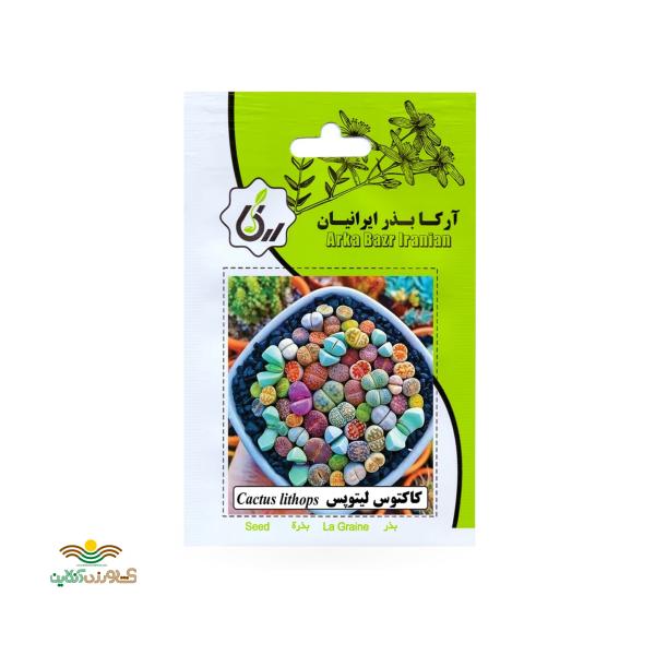 بذر خانگی کاکتوس لیتوپس آرکا بذر ایرانیان
