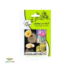 بذر خانگی نوتو کاکتوس آرکا بذر ایرانیان