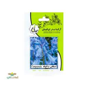 بذر خانگی گل استکانی پا کوتاه آرکا بذر ایرانیان