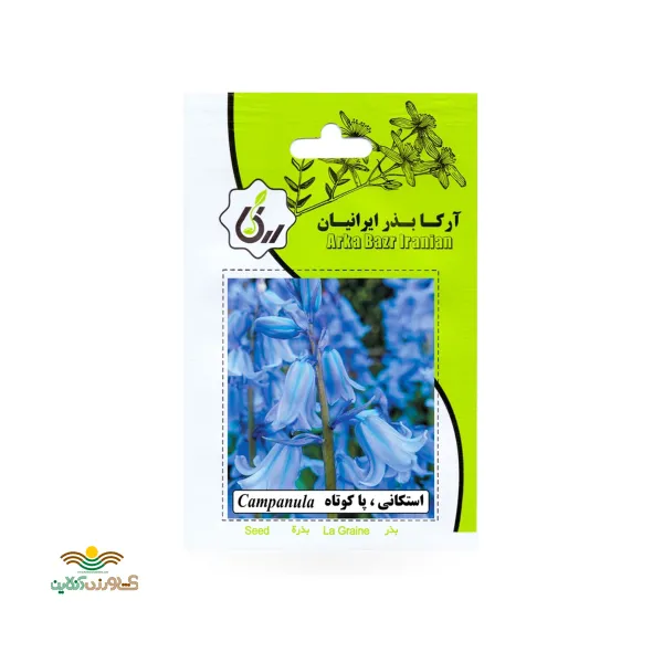 بذر خانگی گل استکانی پا کوتاه آرکا بذر ایرانیان