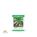 بذر خانگی کدو خورشتی هیبرید سینا 0