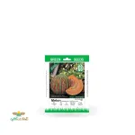 بذر خانگی خربزه تیل آتشی سینا 0