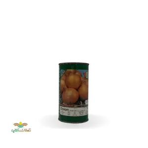 بذر خانگی پیاز طلایی سینا