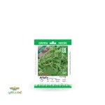 بذر خانگی یونجه سینا 0