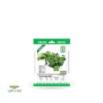بذر خانگی گشنیز سینا 0