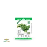 بذر خانگی گشنیز سینا 0