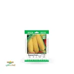 بذر خانگی ذرت شیرین هیبرید سینا 0