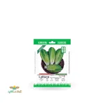 بذر خانگی کاهو سالادی سینا 0