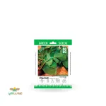 بذر خانگی تربچه برگ سینا 0