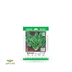 بذر خانگی بی بی اسفناج سینا 0