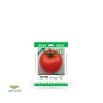 بذر خانگی گوجه سوپر کوئین سینا 0