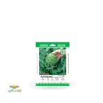 بذر خانگی کنگر فرنگی سینا 0