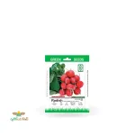 بذر خانگی تربچه چری بل سینا 0