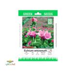 بذر خانگی گل گاو زبان سینا 0