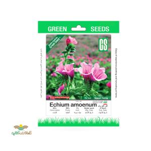 بذر خانگی گل گاو زبان سینا