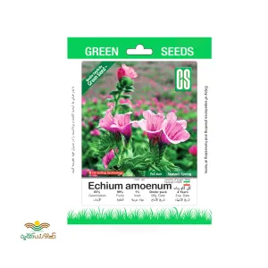 بذر خانگی گل گاو زبان سینا