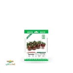 بذر خانگی گوجه چری شکلاتی سینا 0