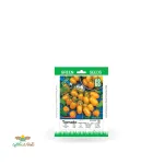 بذر خانگی گوجه فرنگی ریز زیتونی زرد سینا 0