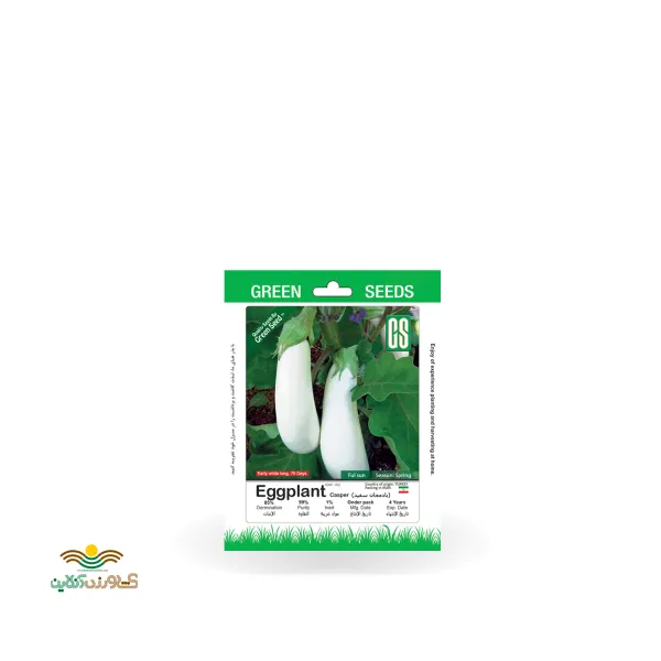 بذر خانگی بادمجان سفید سینا