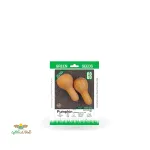 بذر خانگی کدو رشتی سینا 0