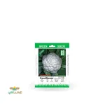 بذر خانگی گل کلم سینا 0
