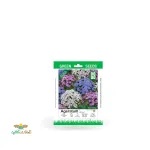 بذر خانگی گل ابری الوان سینا 0