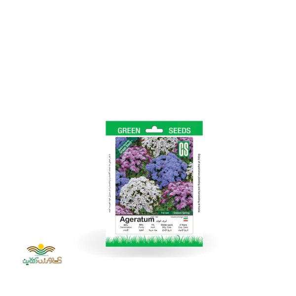 بذر خانگی گل ابری الوان سینا
