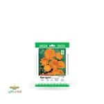 بذر خانگی گل همیشه بهار نارنجی سینا 0