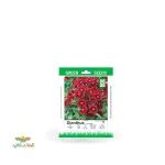 بذر خانگی گل بوقلمون قرمز سینا 0