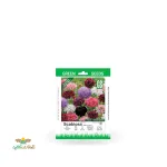 بذر خانگی گل درخشنده الوان سینا 0
