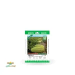 بذر خانگی خربزه خاتونی سینا 0