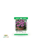 بذر خانگی گل پریوش بنفش سینا 0