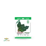 بذر خانگی اسفناج سینا 0