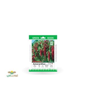 بذر خانگی گل زلف عروس افروز سینا