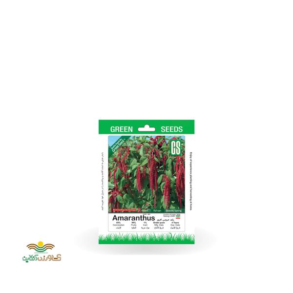 بذر خانگی گل زلف عروس افروز سینا