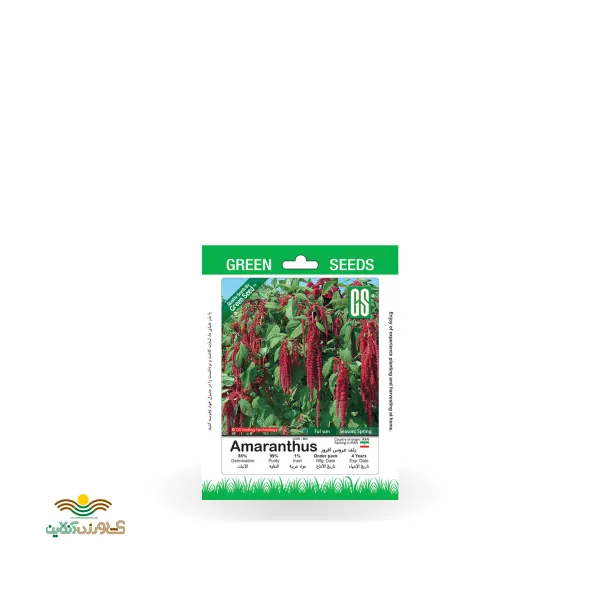 بذر خانگی گل زلف عروس افروز سینا