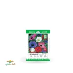 بذر خانگی گل شقایق نعمانی سینا 0
