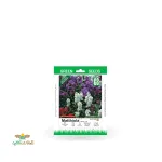 بذر خانگی گل شب بو الوان سینا 0