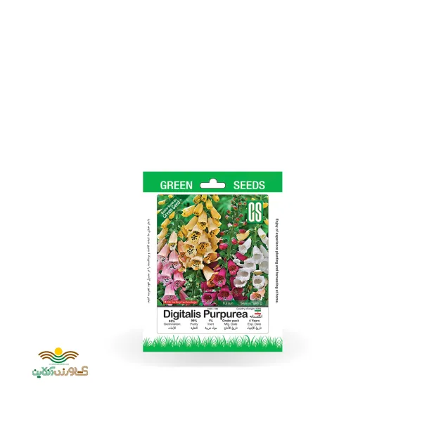 بذر خانگی گل انگشتانه سینا