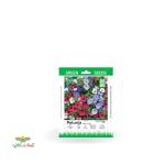 بذر خانگی گل اطلسی معطر سینا 0