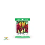 بذر خانگی گل تاج خروس دم روباهی سینا 0