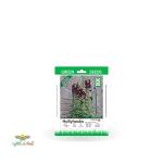 بذر خانگی گل ختمی زرشکی تیره سینا 0