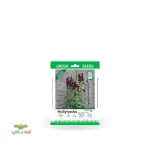 بذر خانگی گل ختمی زرشکی تیره سینا 0
