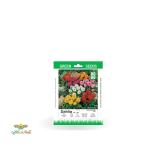 بذر خانگی گل کوکب الوان سینا 0
