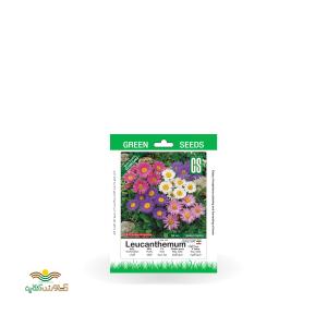 بذر خانگی گل مینا الوان سینا