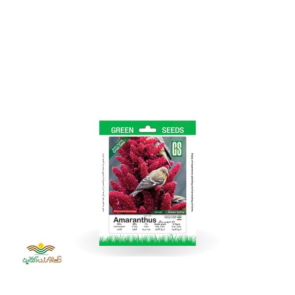 بذر خانگی گل تاج خروس پرگل سینا